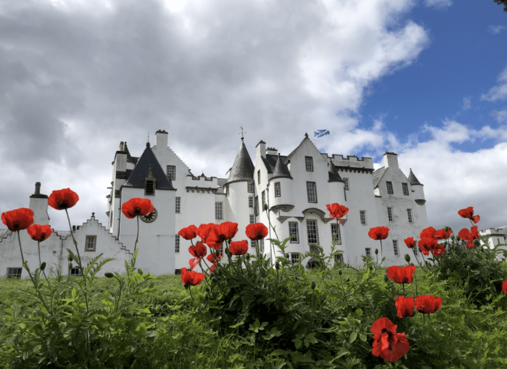 Blairs Castle poppies Scotland tours